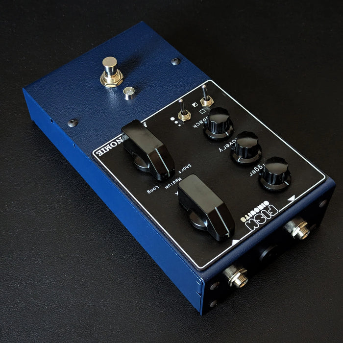 Fish Circuits Astronomie Reverb