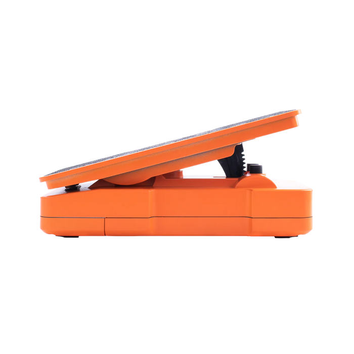 Darkglass Electronics Anagram Press