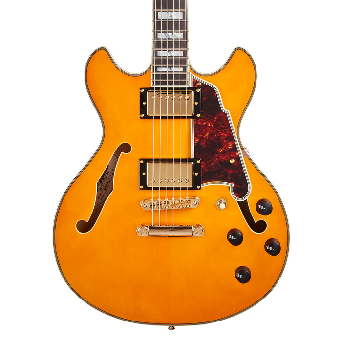 D'Angelico EXCEL Mini DC Semi-Hollow Guitar (Vintage Natural)