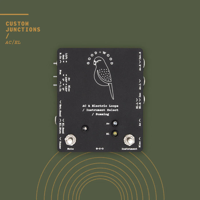 Goodwood Audio AC/EL (Acoustic/Electric Interfacer) Custom Junction TX