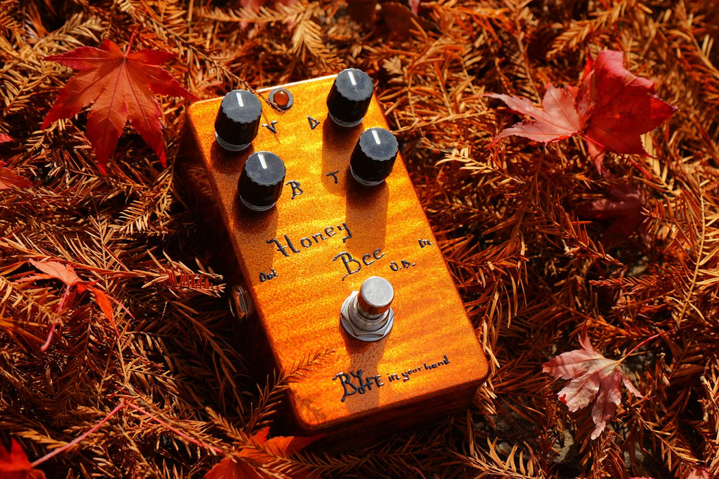 One Control BJFE In Your Hand Series Honey Bee OD 4K