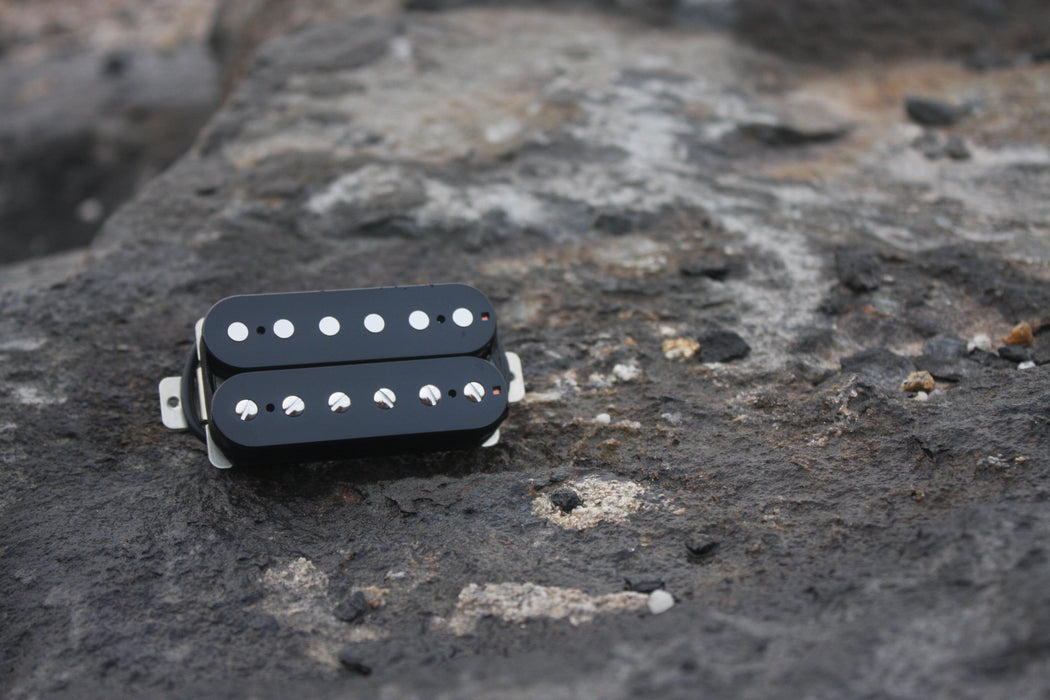 Labyrinth Guitar Pickups - Pafagon & Sweet Heritage Humbucker Set