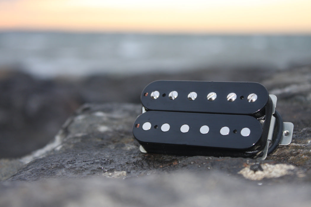 Labyrinth Guitar Pickups - Fortuitous & Dusk Humbucker Set