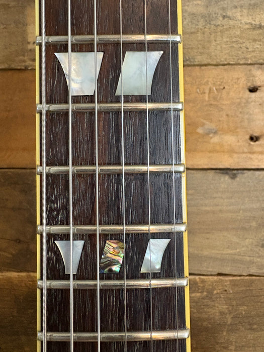 Second Hand Schecter Tempest Custom Black