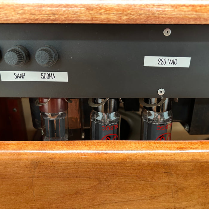 Second Hand Bruno Custom Cowtipper 45 Watt - USA 2009