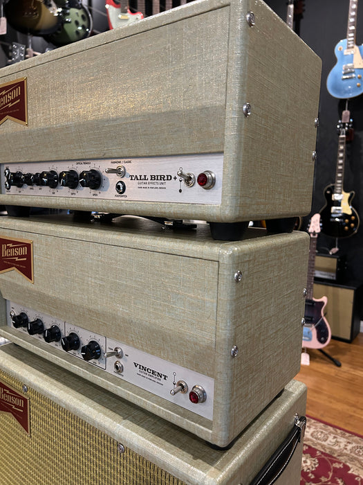 Benson Vincent 30w Head, matching 2x12 Cab and Tall Bird+ in custom Robins Egg.