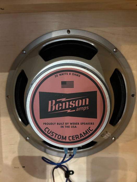 Benson Vincent 30w Head, matching 2x12 Cab and Tall Bird+ in custom Robins Egg.
