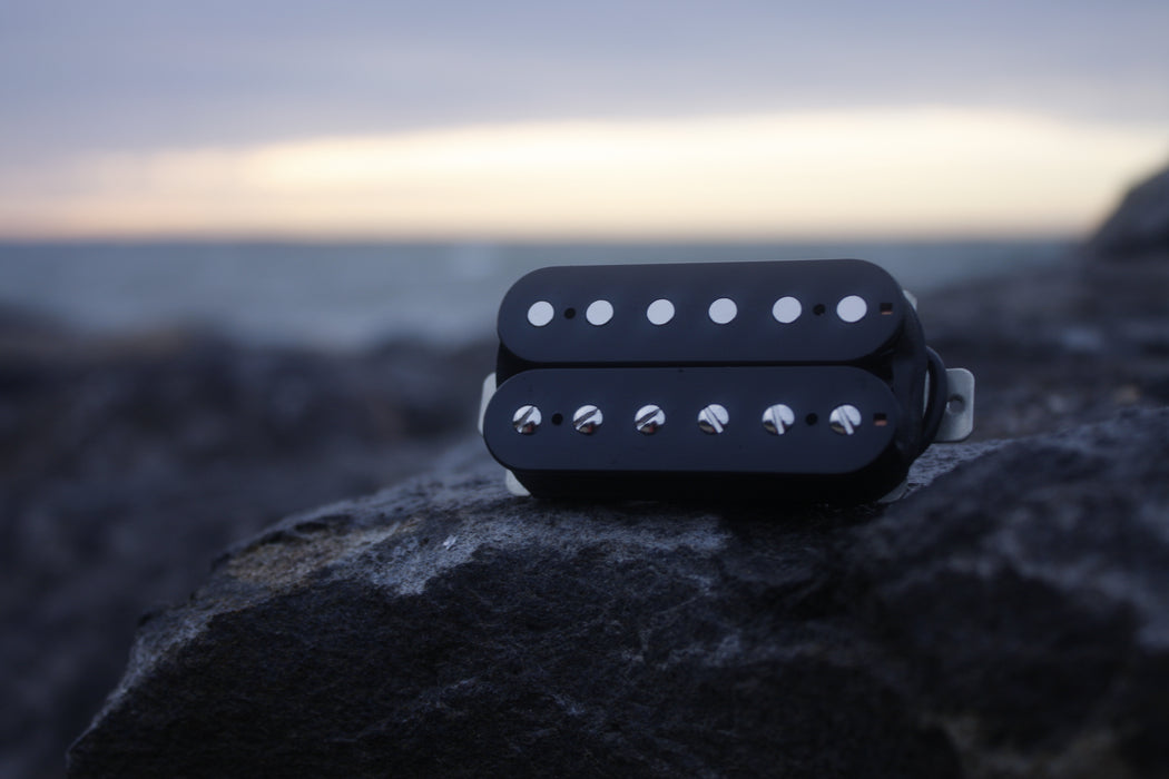 Labyrinth Guitar Pickups - Pafagon & Sweet Heritage Humbucker Set