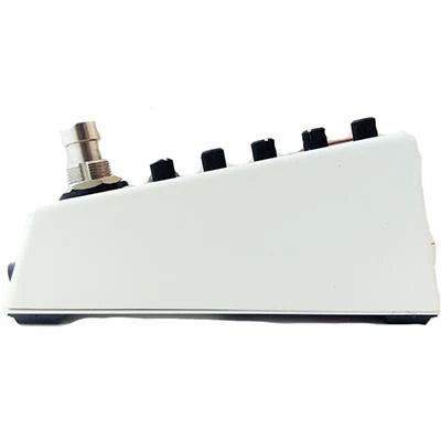 RAINGER EFFECTS Reverb-X Digital Reverb (& Igor) Mini-Pedal