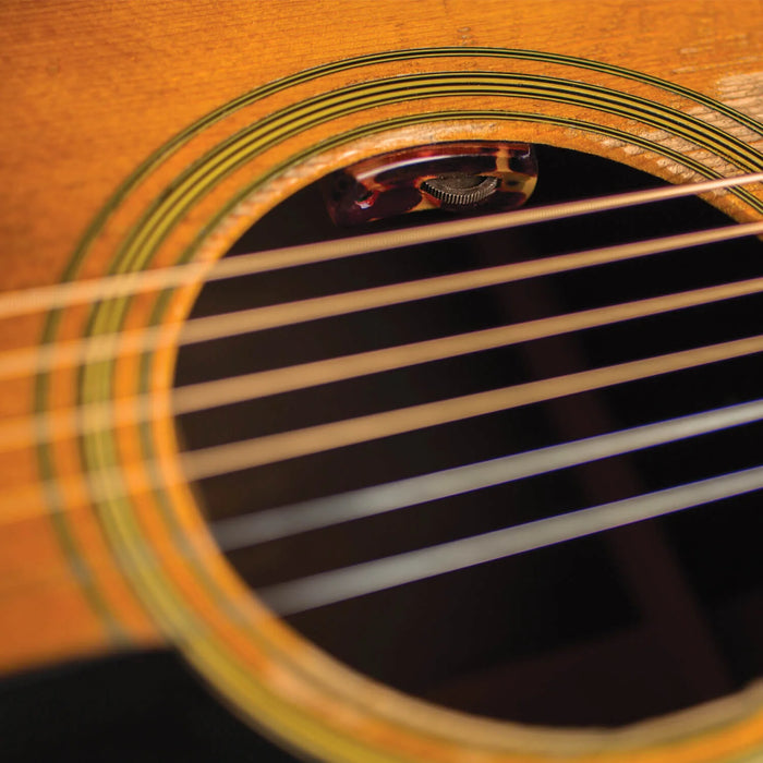 L.R. Baggs Lyric Acoustic Guitar Microphone System