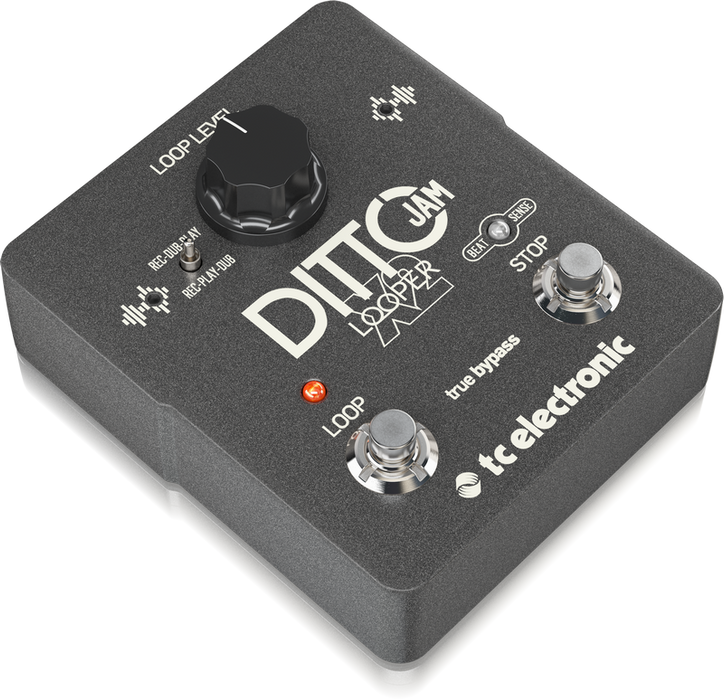 TC Electronic Ditto Jam X2 Looper with Beat Sense - Pedal Empire