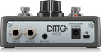 TC Electronic Ditto Jam X2 Looper with Beat Sense - Pedal Empire