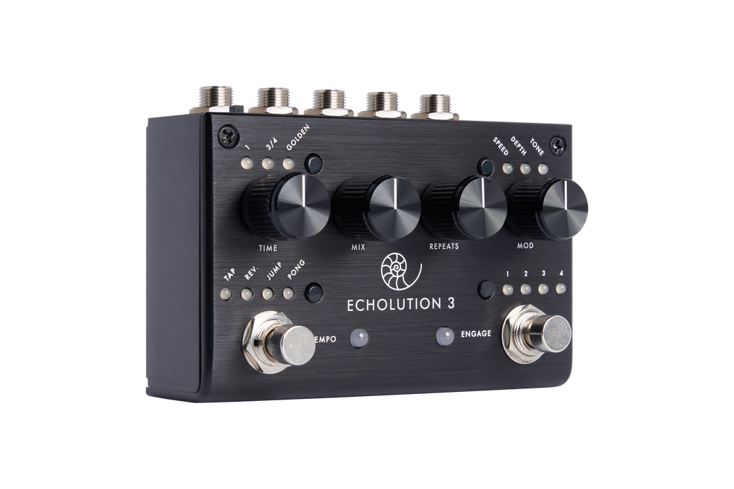 Pigtronix Echolution 3 Stereo Multi-Tap Delay