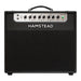 Hamstead Artist 20+RT Combo - Pedal Empire