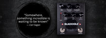 Eventide BLACKHOLE Ambient Reverb - Pedal Empire